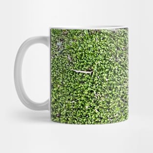 Green Moss Nature Forest Mug